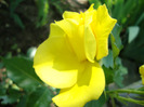 DSC02891