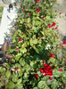 DSC02903