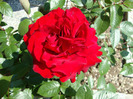 DSC02904