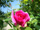 DSC02908