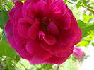 DSC02909