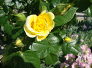 DSC02914