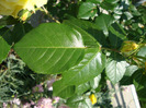 DSC02920