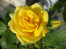 DSC02945