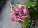P1070455