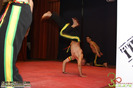DPL_68