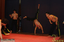 DPL_79