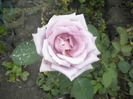 DSCN1173