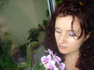 ORHIDEEA INFLORITA
