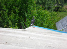 SAM_0018