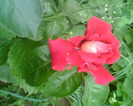 Picture 046