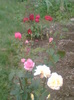 Picture 052
