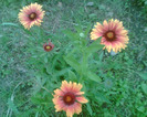 Picture 025