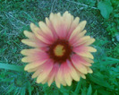 Picture 026