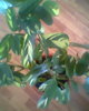 Fotogr.0221