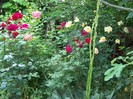 100_6847