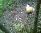 Picture 082