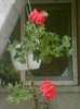 Picture 095