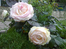biedermeier