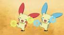 2.Plusle si Minun