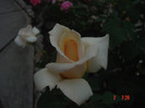 Picture 1400