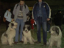Expo Timisoara 2004 timis 5