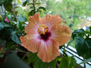 P1340336