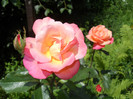 Photo (7)