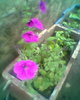 Fotogr.0283