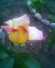 Fotogr.0299