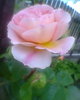 Fotogr.0287