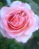 Fotogr.0288