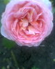Fotogr.0289