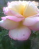 Fotogr.0298