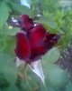 Fotogr.0291