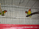 HPIM3550