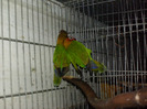 HPIM3514