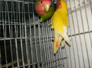 HPIM3535