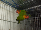 HPIM3542