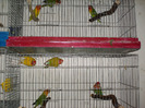 HPIM3547
