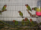 HPIM3494