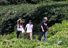 Selena+Gomez+Selena+Gomez+Justin+Bieber+Hawaii+w4tFHysSOb8l