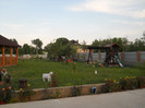 Picture 020