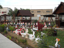 Picture 022