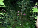 100_7034