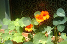 IMAG0636