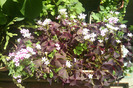 IMAG0641