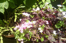 IMAG0642