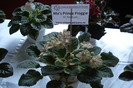 flori 112