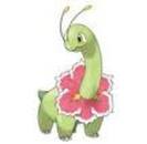 meganium